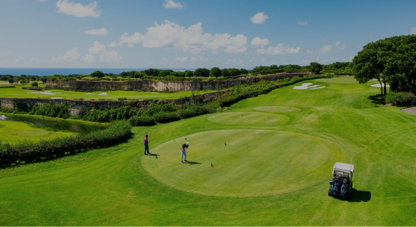 a group of people playing golf
