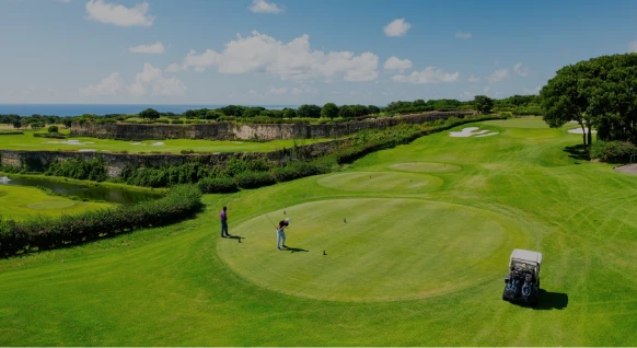 a group of people playing golf