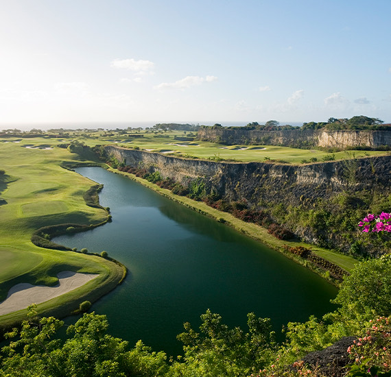 a river with a green landscape