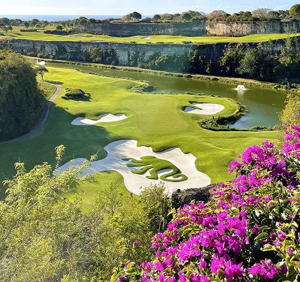 colorful flowers growing on a golf course