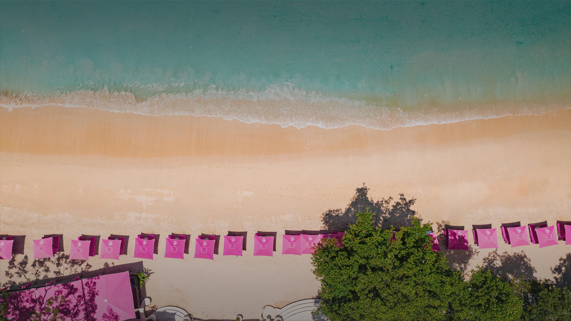 a landscape with trees and a body of water in the background