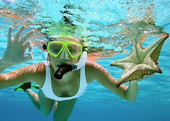 girl snorkeling with star fish