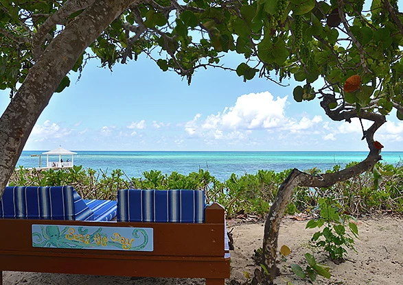 lounge couch overlooking the beach