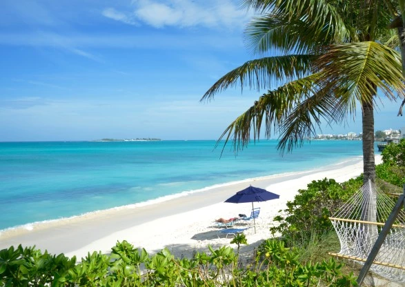 a beach with chairs and umbrellas