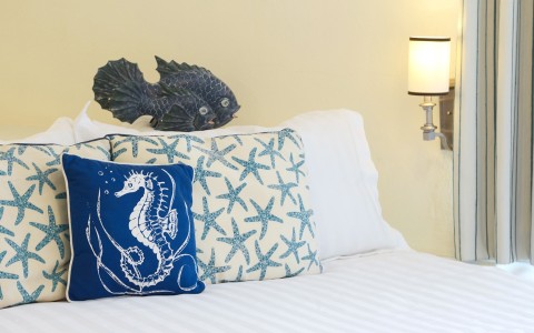 Room Thumbnail 4