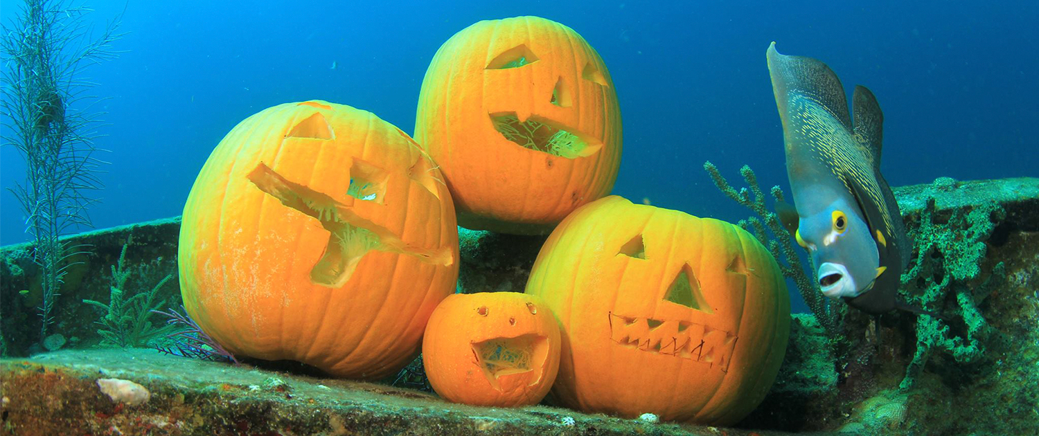 Fall Events