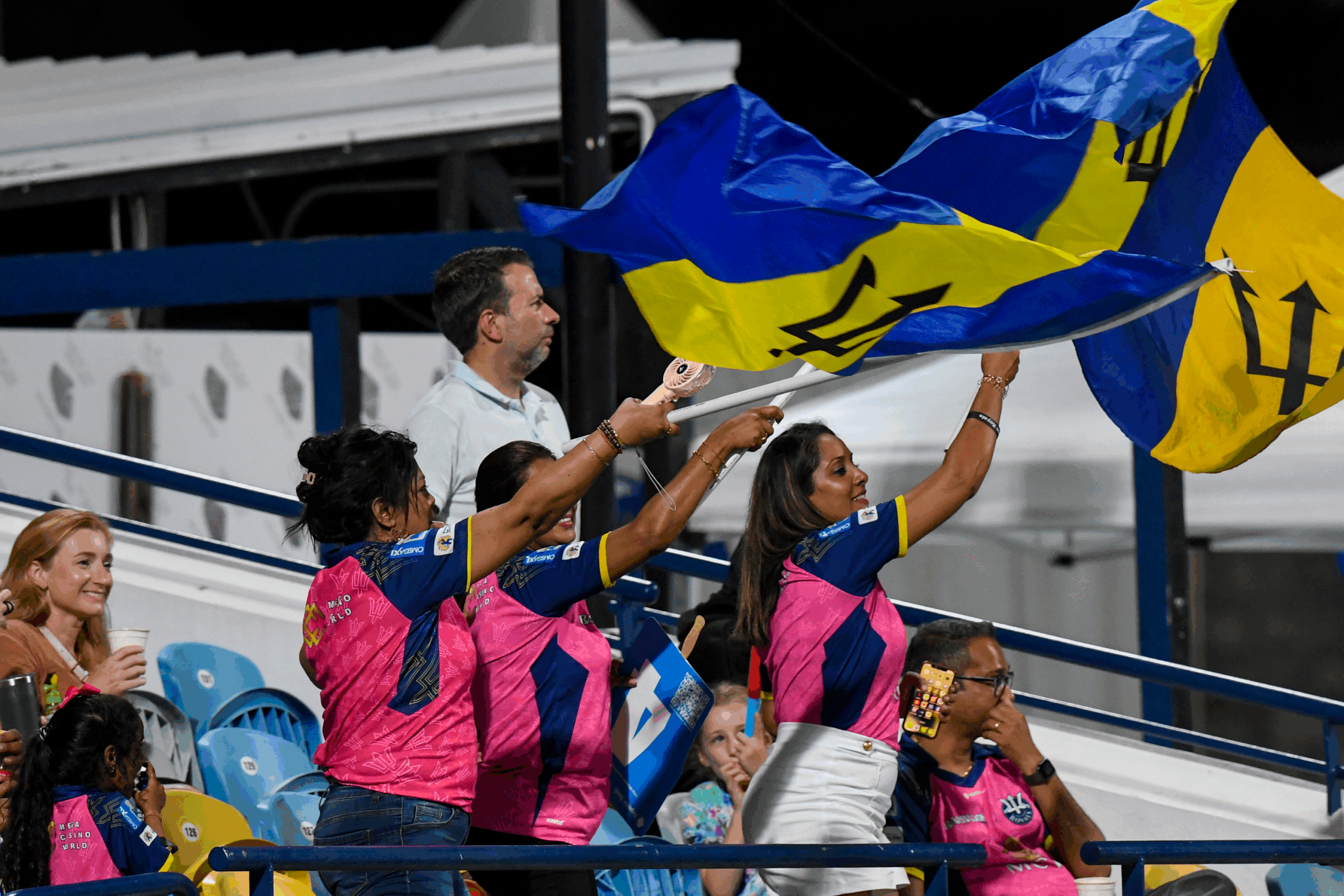 Bajan Cricket Fans & Flags