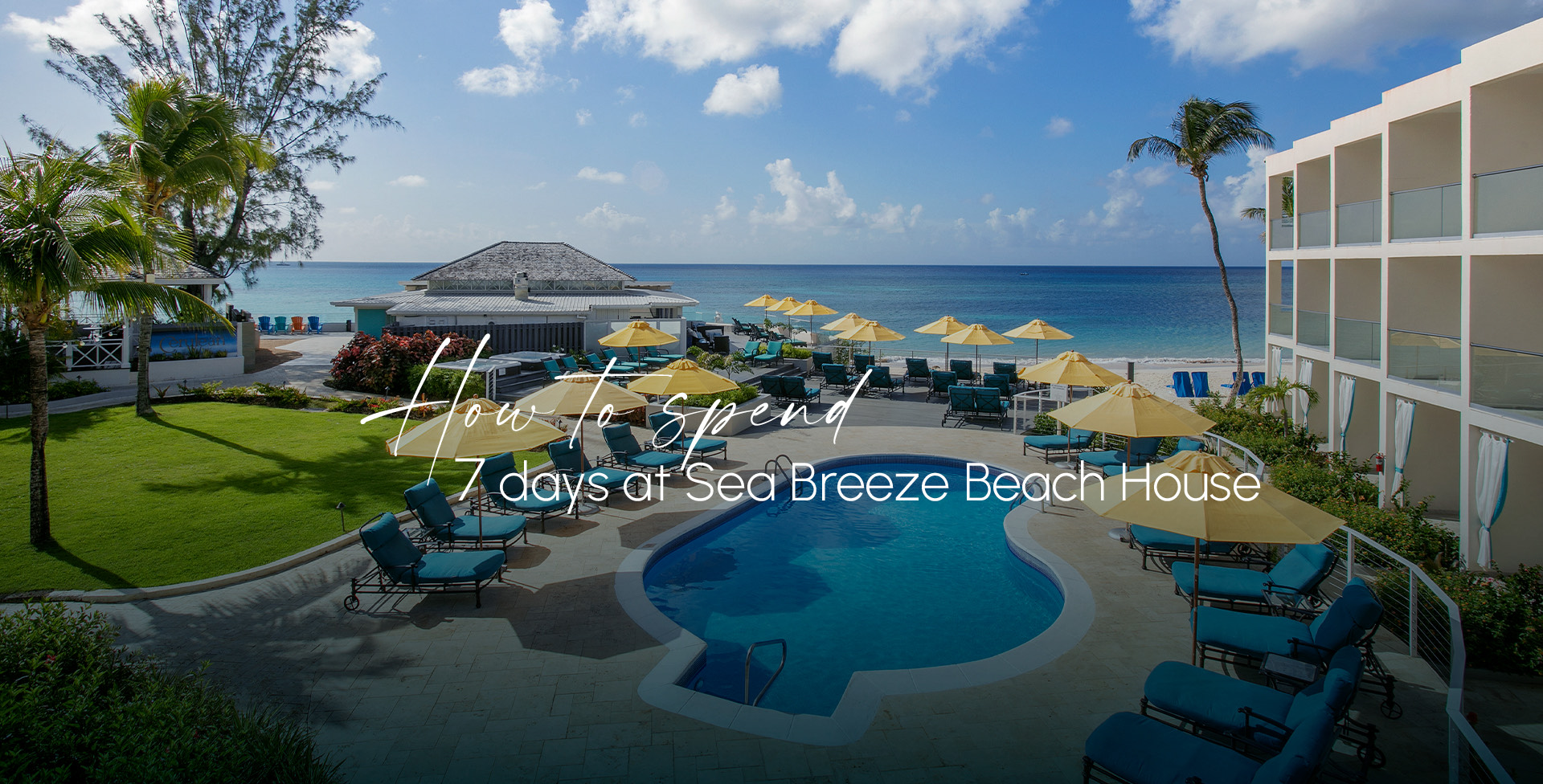 Seven Days At Sea Breeze Sea Breeze Beach House Seven Days At Sea Breeze Sea Breeze Beach House