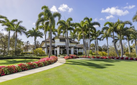 a large lawn with palm trees and a building