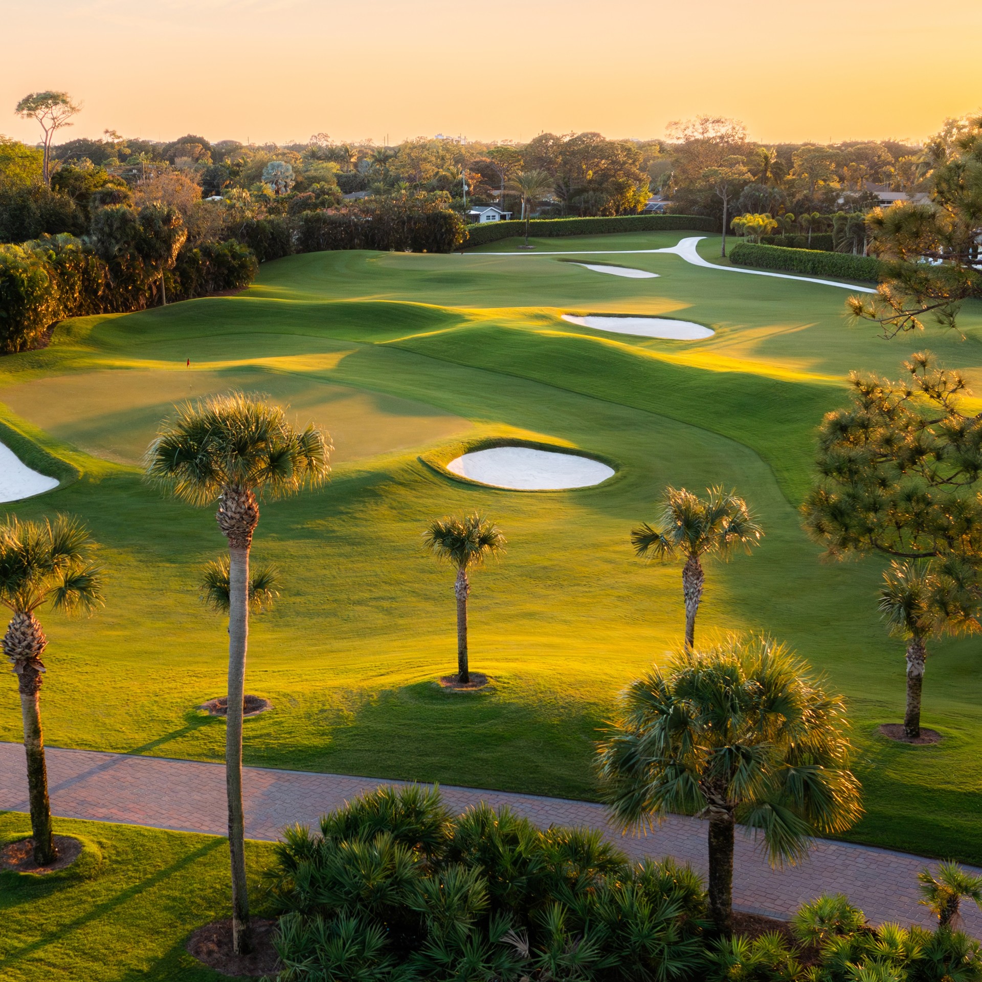 a golf course with palm trees and a path