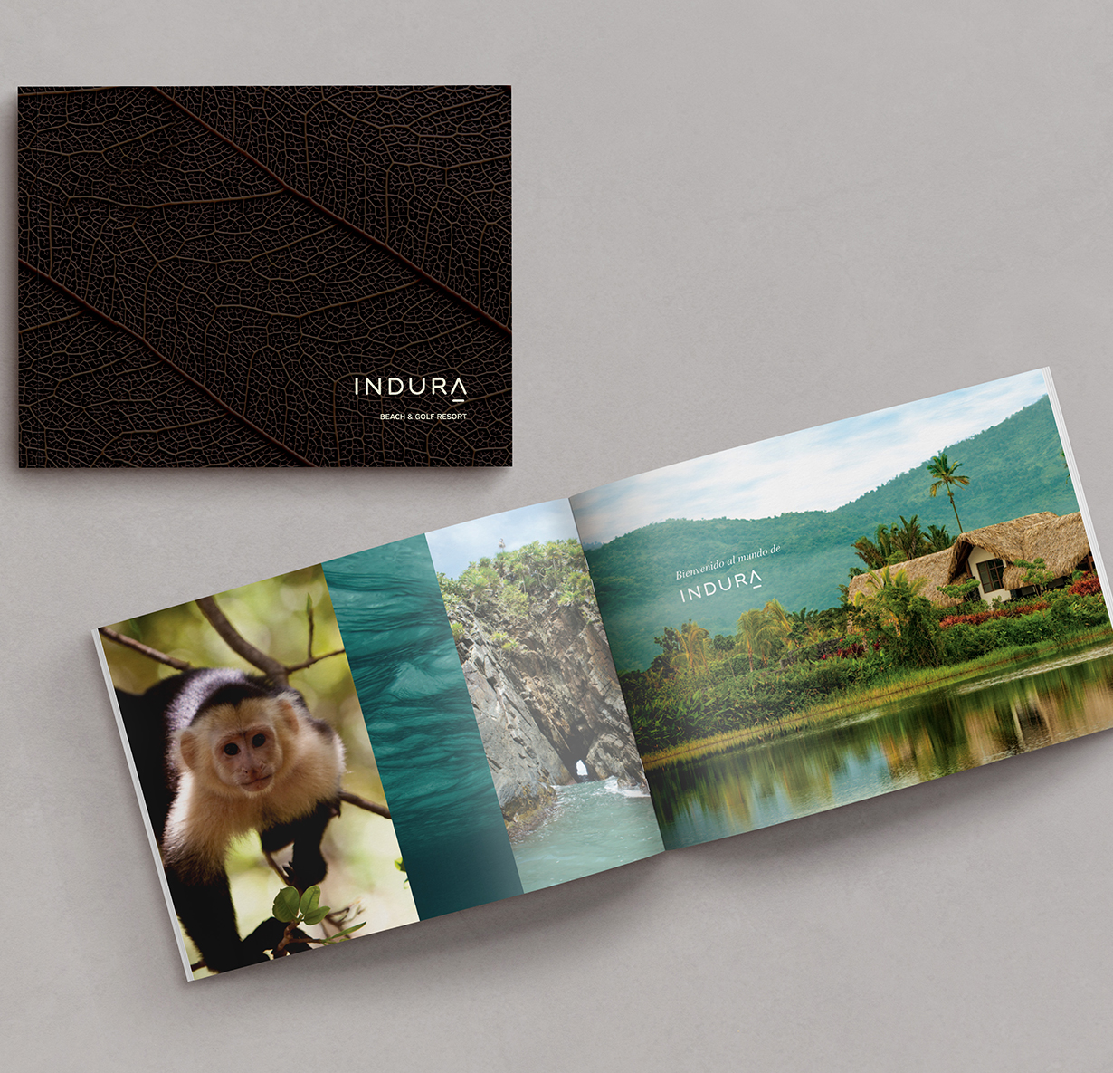 a book with a picture of a monkey and a remote house