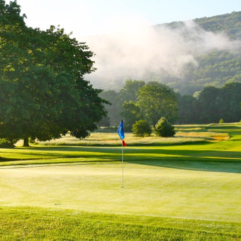 a flag on a golf course