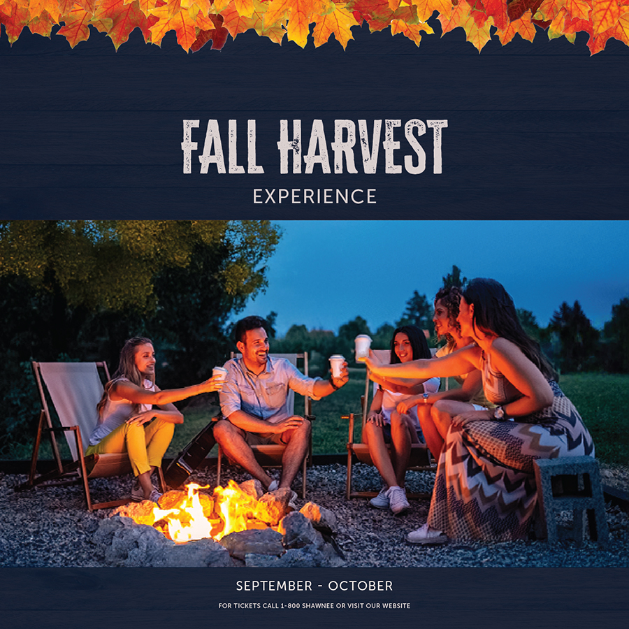 a group of people sitting around a fire