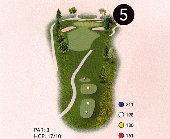 a golf course with a hole in the middle