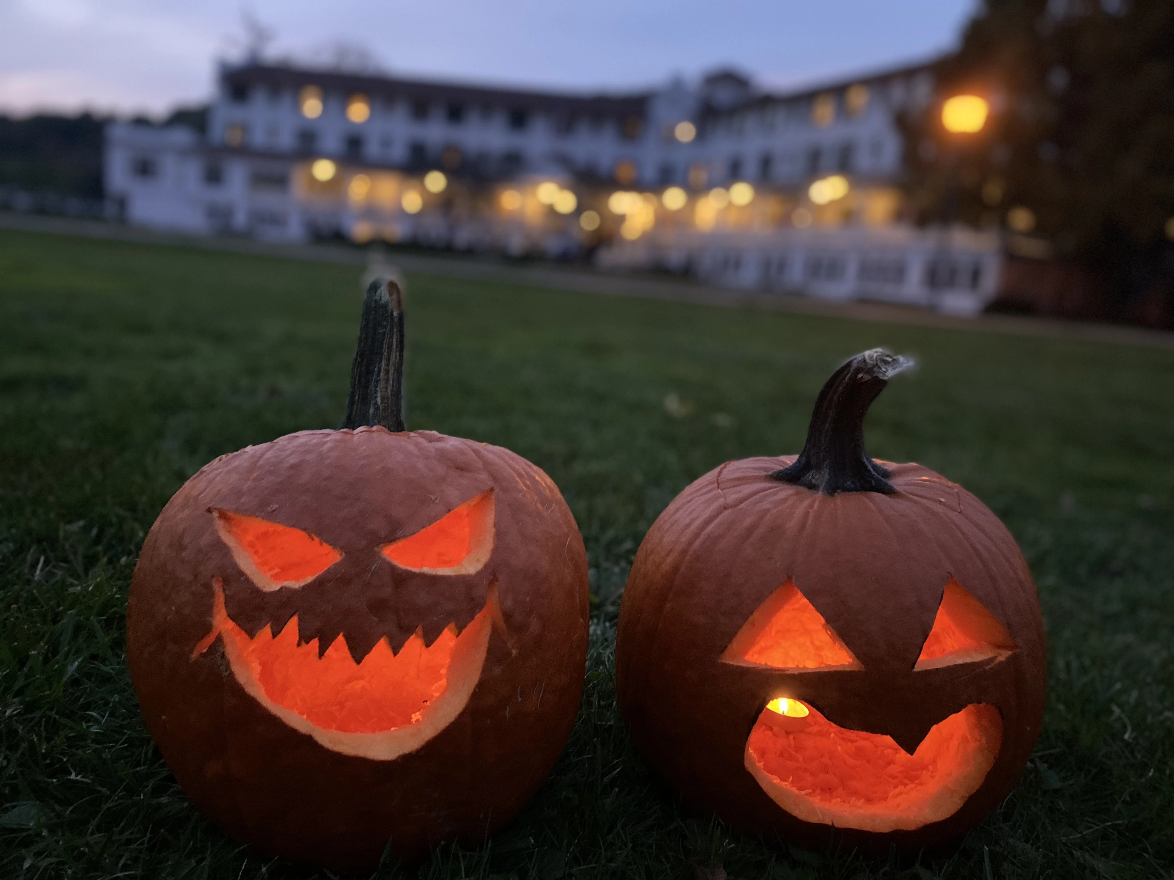 two carved pumpkins on grass