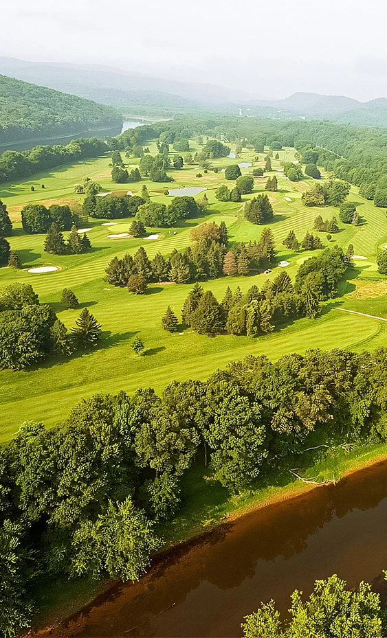 a golf course with many trees