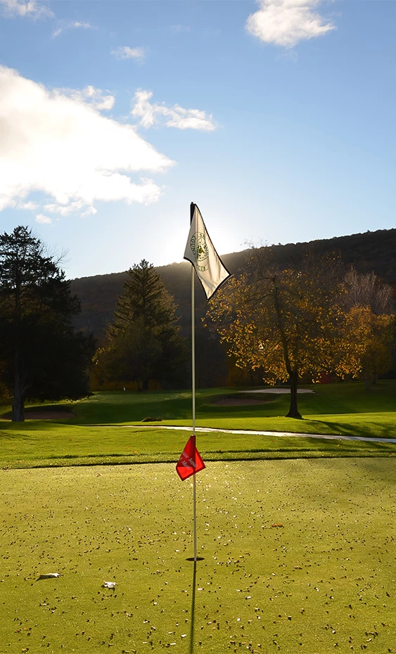 a flag on a golf course
