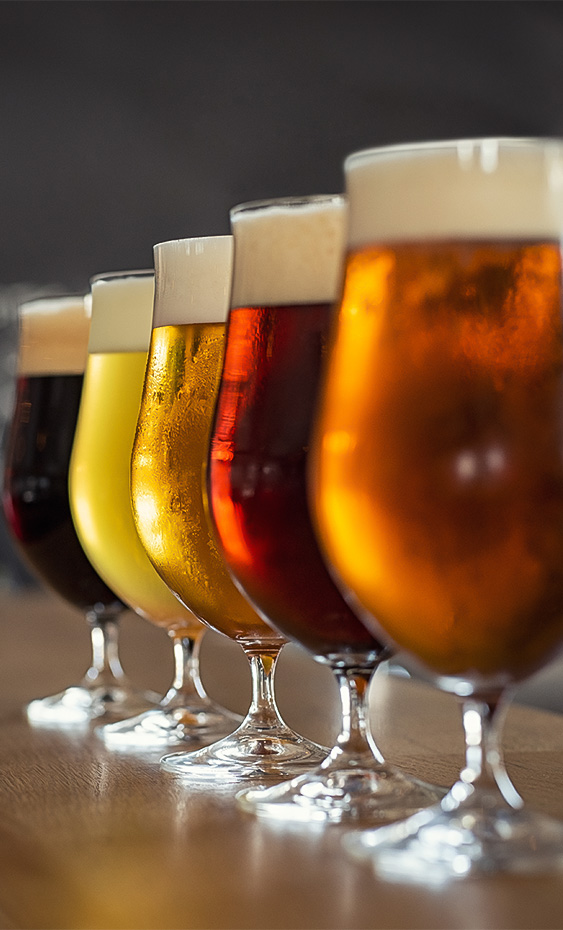a row of glasses of beer