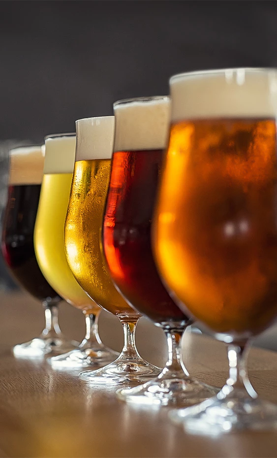 a row of glasses of beer