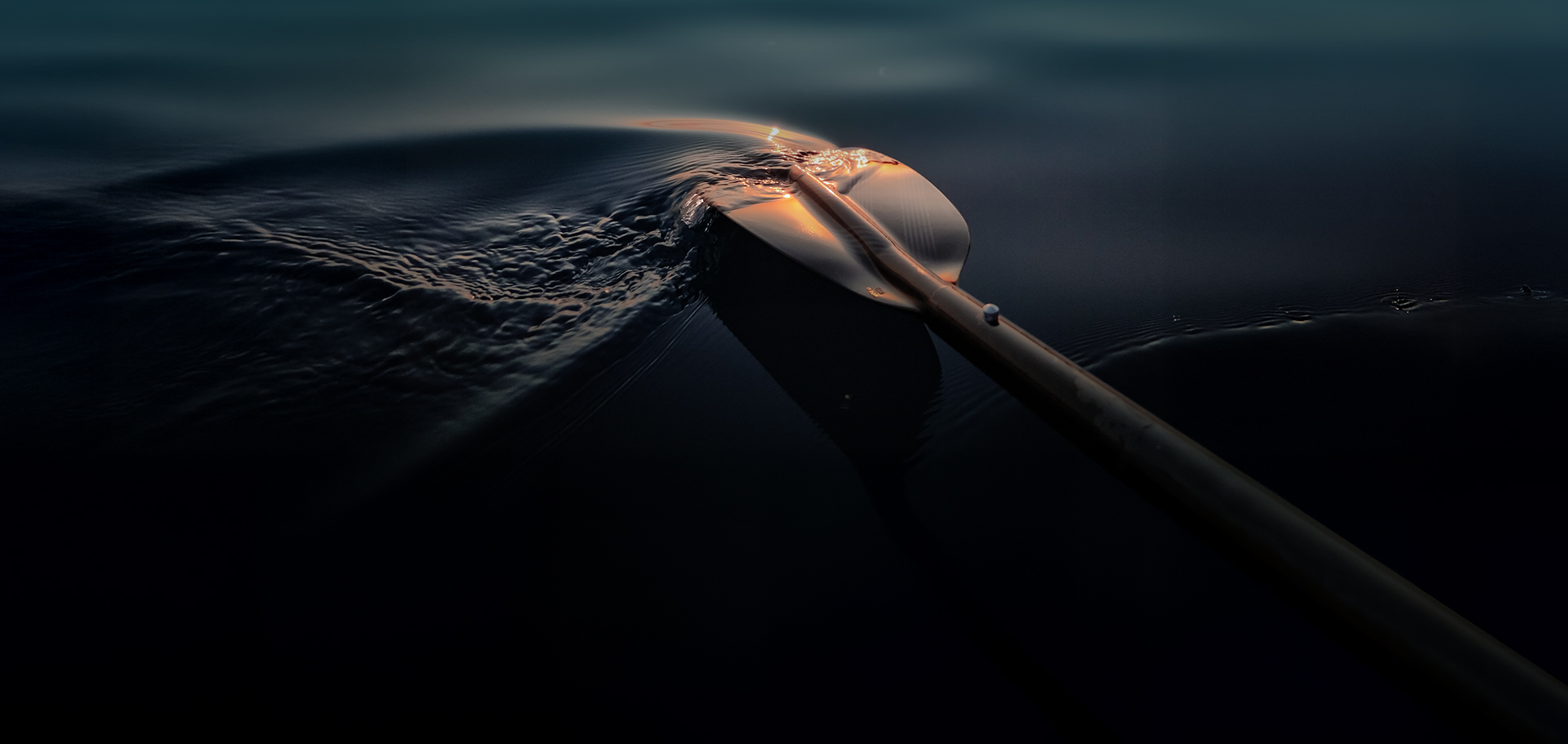 a paddle in the water