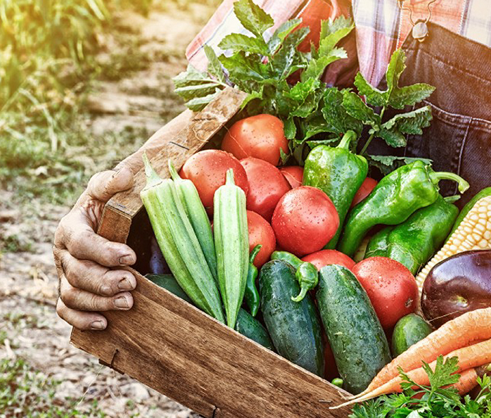 a person holding a crate of vegetables