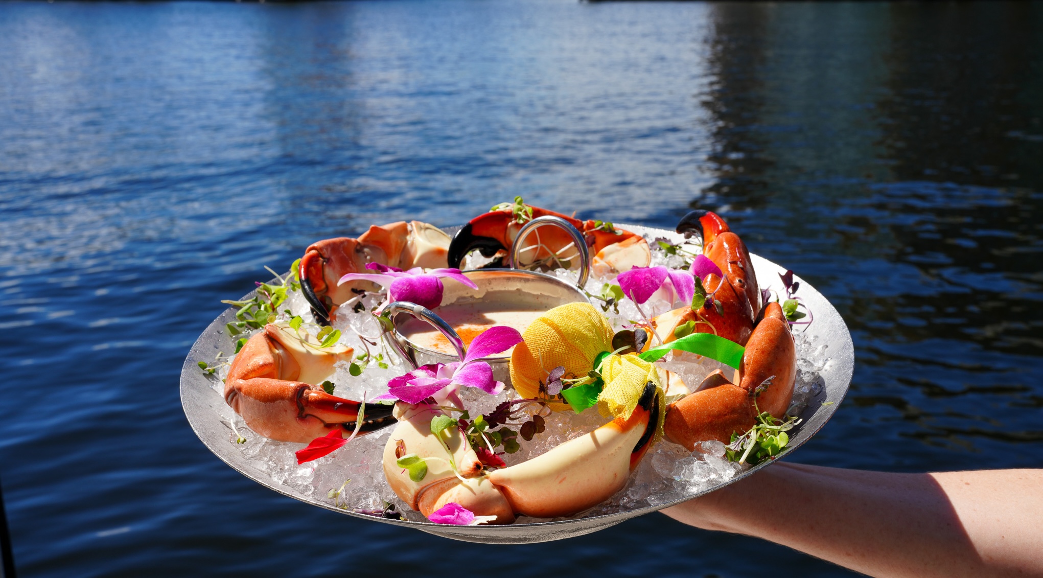 a plate of food on ice