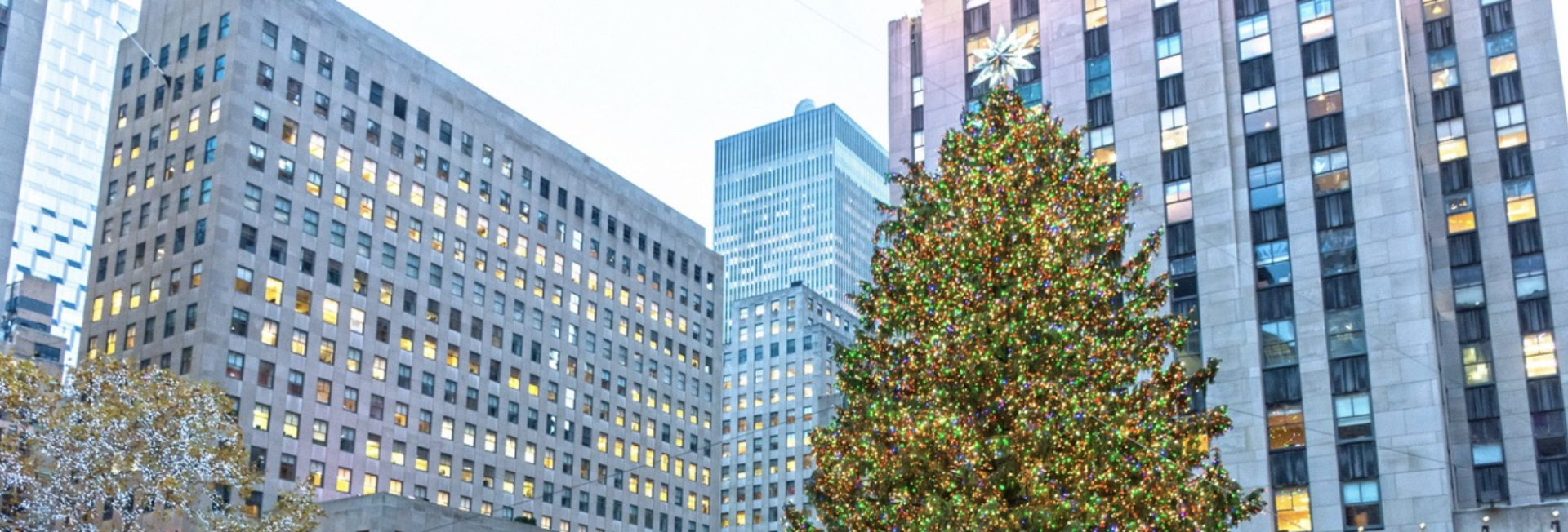 A large Christmas tree stands in front of several tall buildings, likely in Midtown Manhattan.