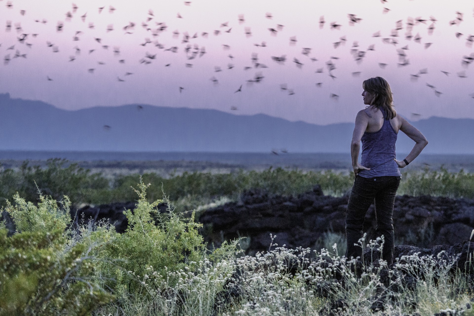 a woman standing in a field with birds flying in the sky