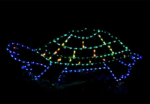 a colorful lights in the shape of a dome