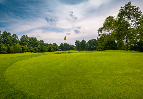 a golf course with a flag on the green
