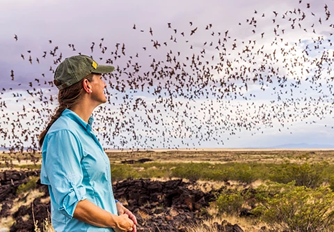 a woman looking at birds flying over a field