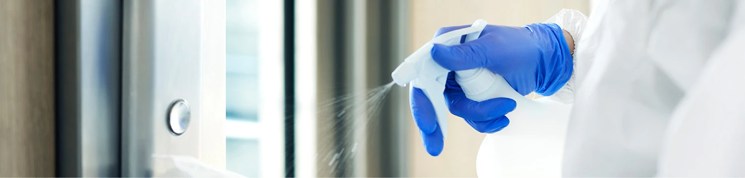 cleanliness header