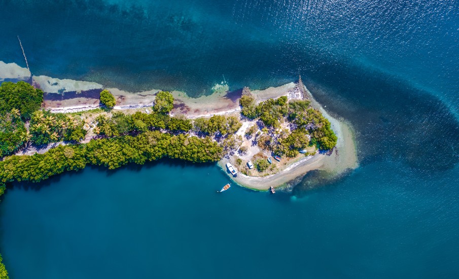 an island with trees and buildings
