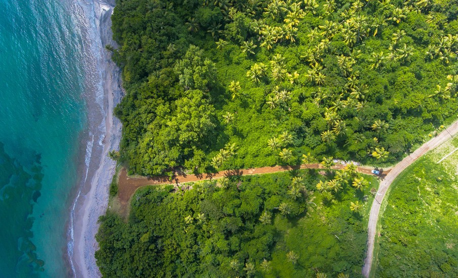 a road with trees and grass