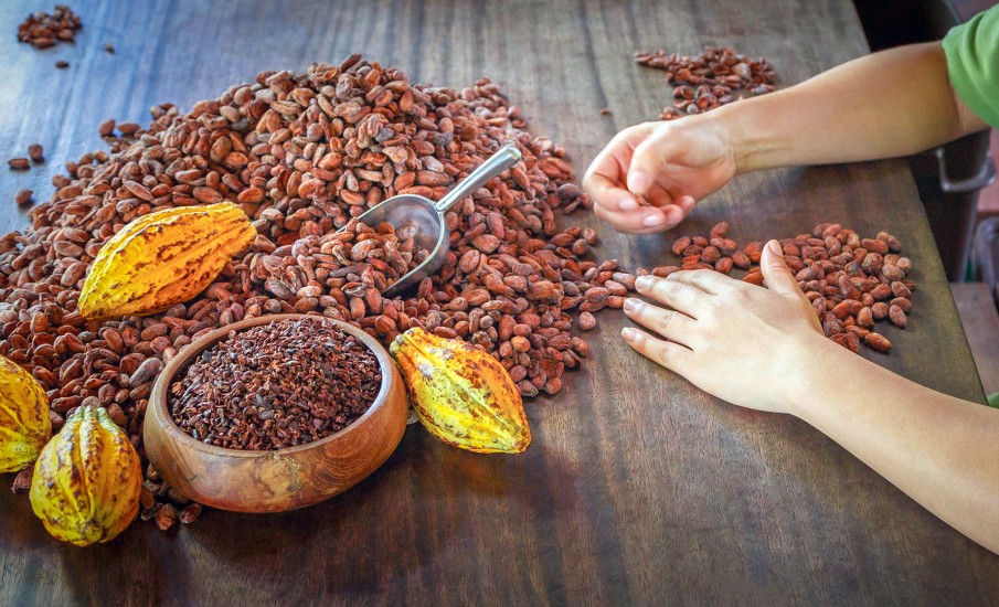 a group of hands holding a bowl of nuts