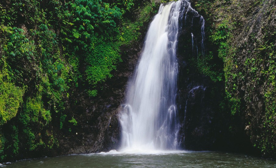 a waterfall in a forest