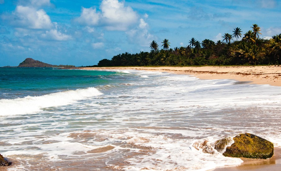 a beach with rocks and trees