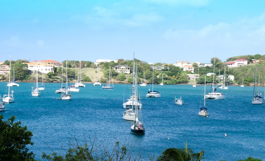 a group of boats in a harbor