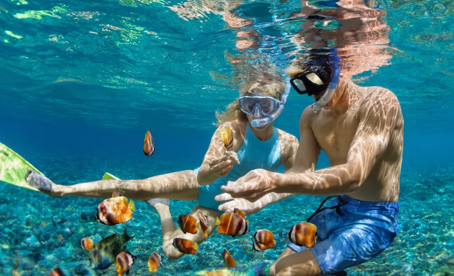 a man and woman in the water with fish