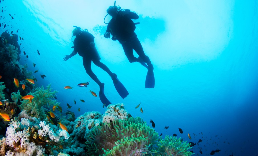 a scuba diver swimming in the ocean