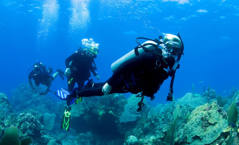 scuba divers under water