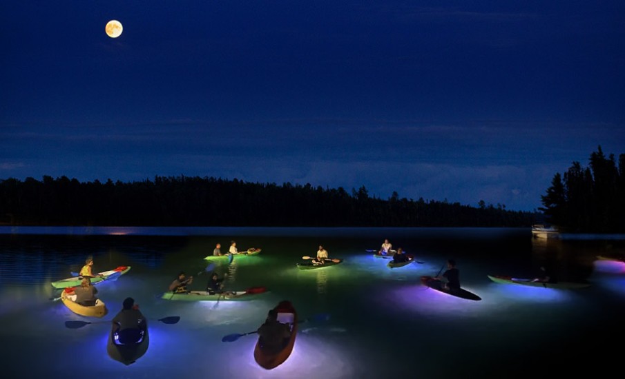 a group of people in canoes on a lake at night
