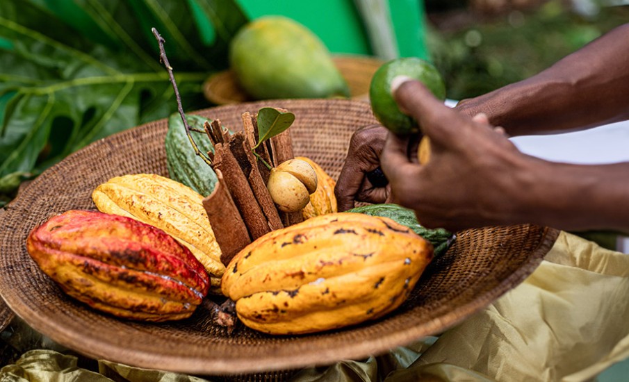 a person holding a plate of food