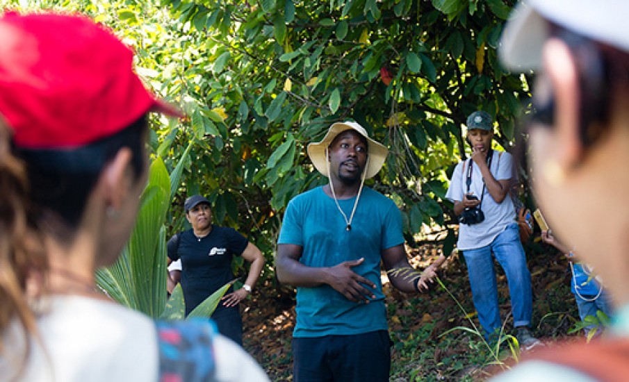 a group of people in a forest
