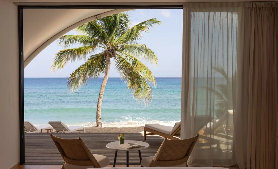 a view of the ocean from a room with a palm tree and a table