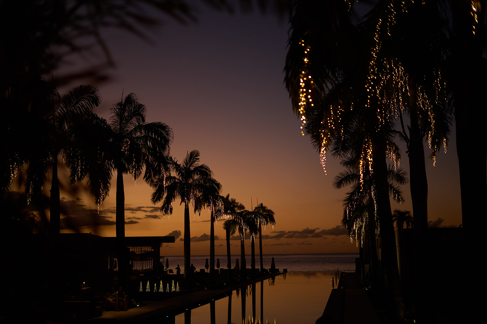 a palm trees next to a body of water