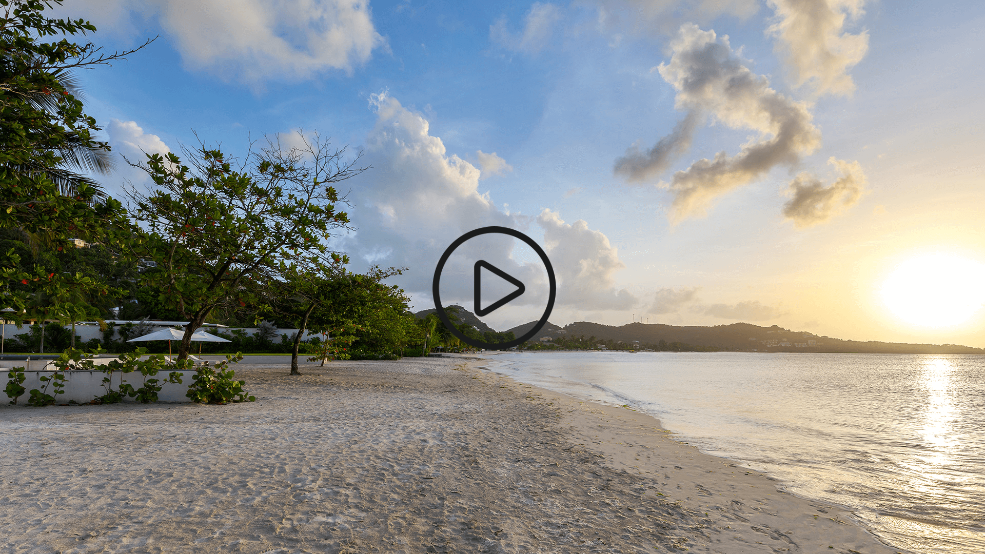 a beach with trees and water