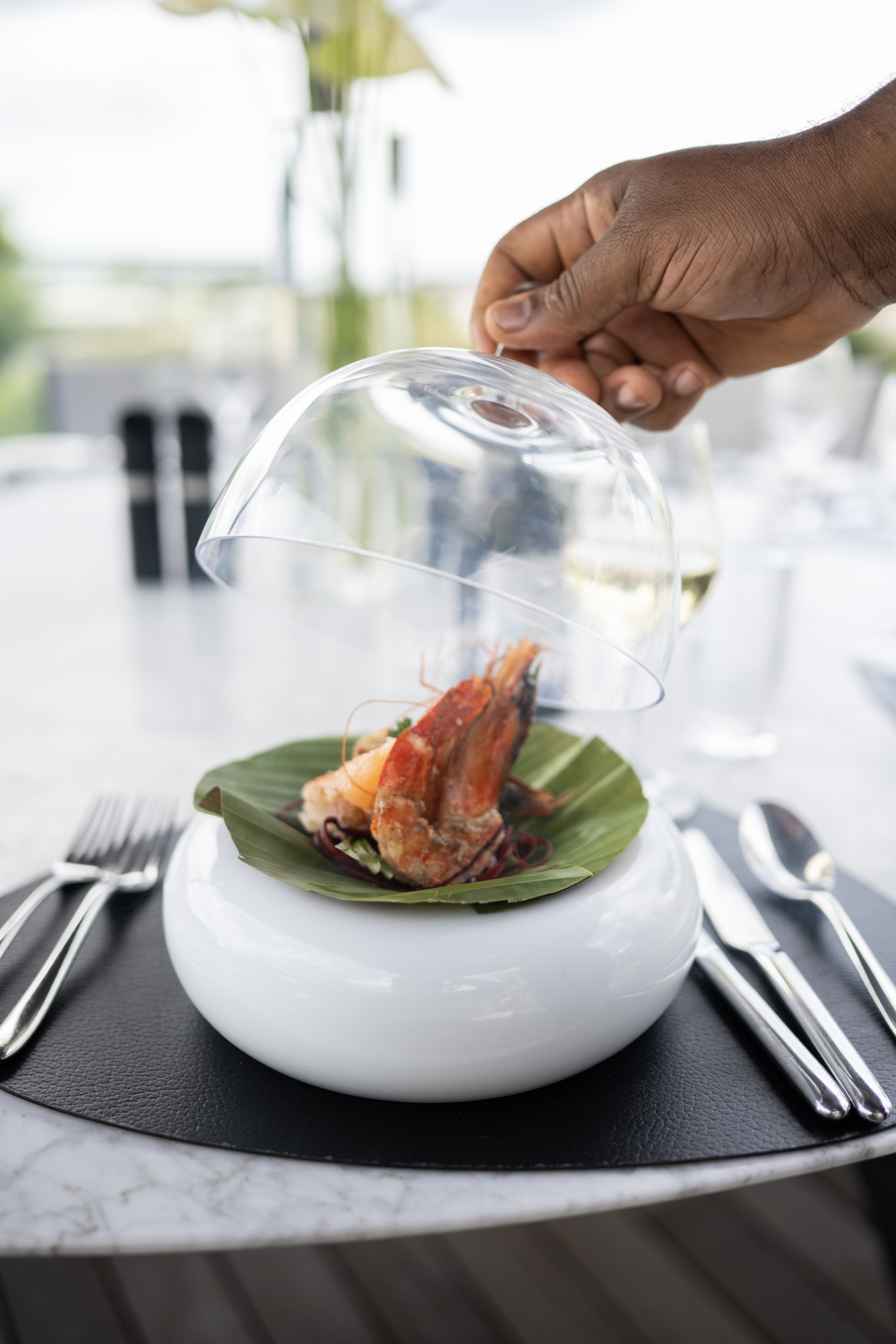 a hand holding a glass cover over a dish with shrimp