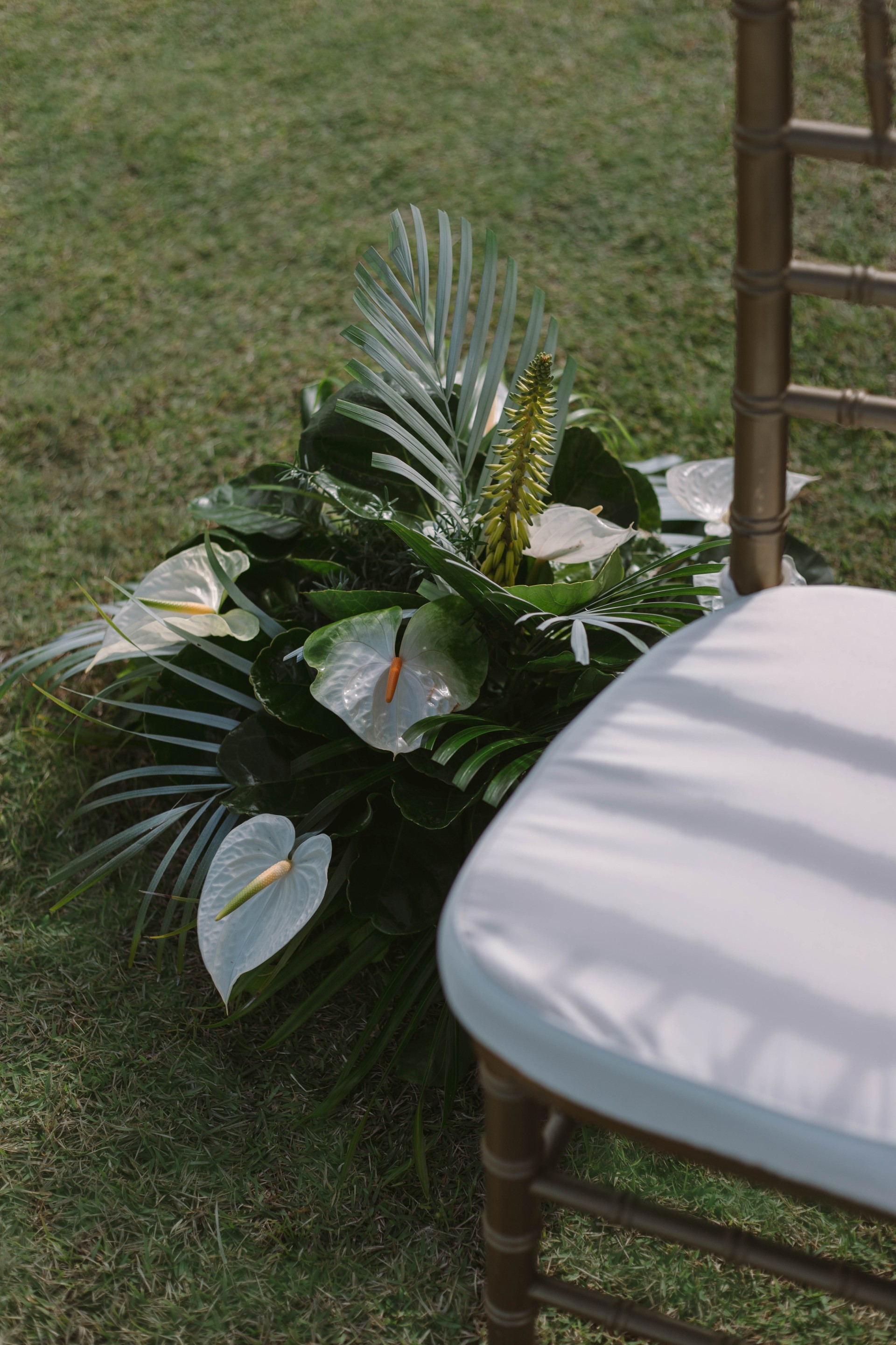 a chair next to a plant