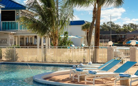 a pool with lounge chairs and palm trees